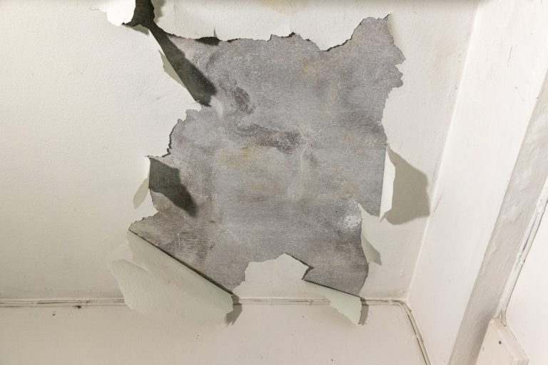 Dlaczego szybka reakcja ma znaczenie przy osuszaniu budynków?